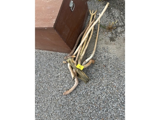 Walking Sticks