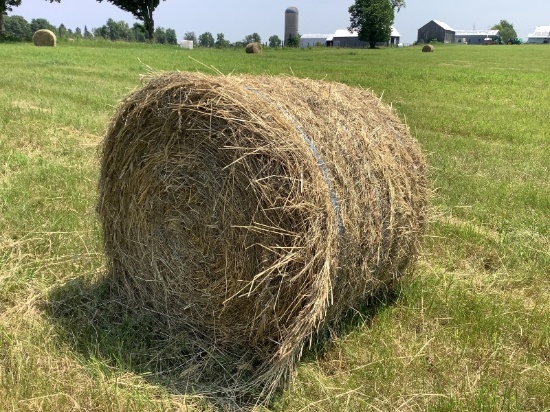 20 - 4x4 Baled by John Deere Round Baler, 2024 1st Cut Hay  - No Rain When Baled