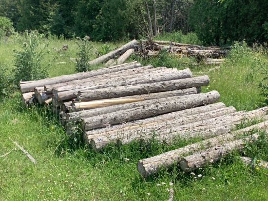 50 - 8' Cedar Posts