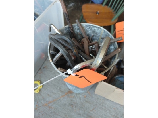 Pail of Allen Wrenches