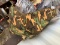 Crossbow Bag