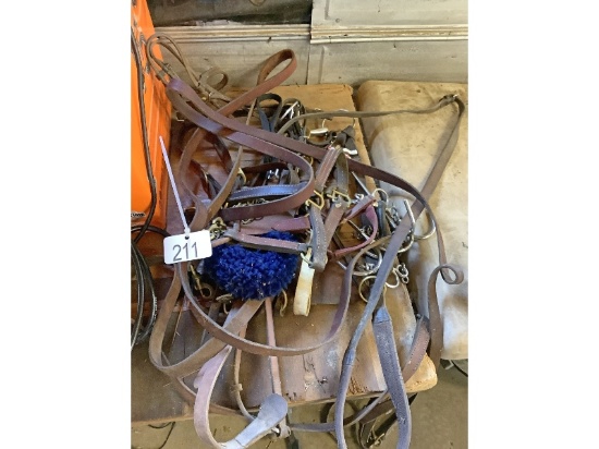 Horse Harness