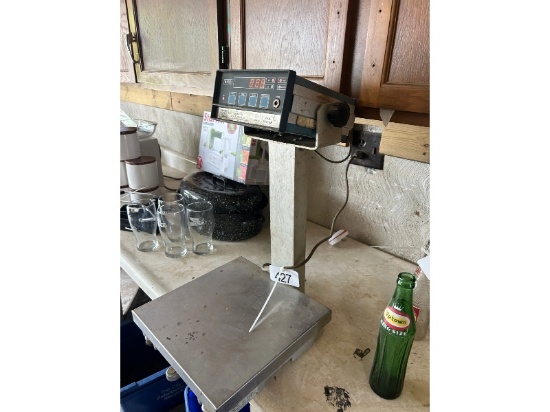GSE Digital Scale