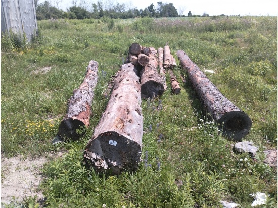 Pile of Posts