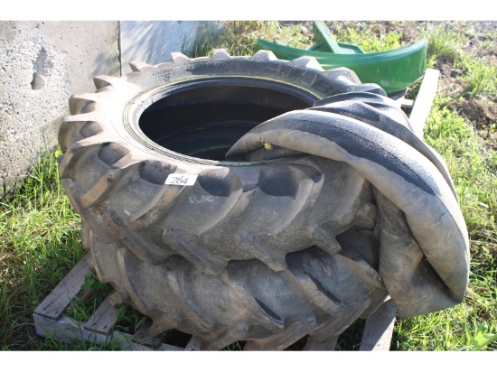 2 -12.4-24 Tires & Tubes
