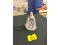Royal Doulton Nicola