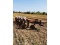 International 710 Automatic Reset Plow