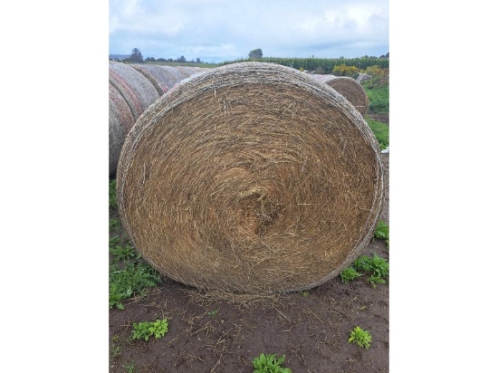 10 Bales of Hay