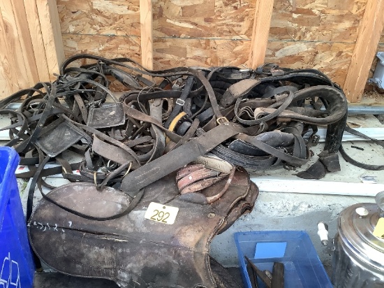 Harness & Saddle