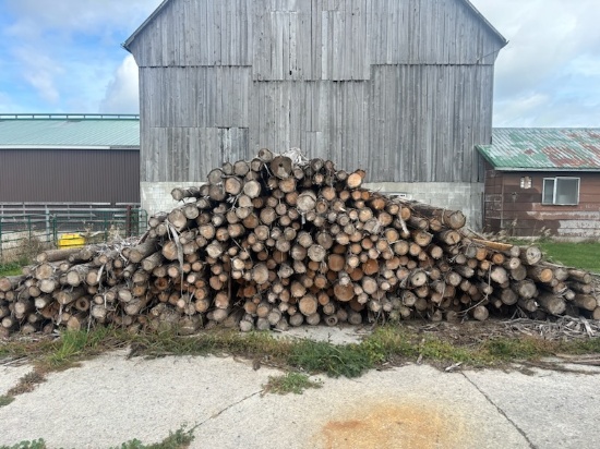 25 Cedar Posts - 5"- 7" Tops & 8' Long