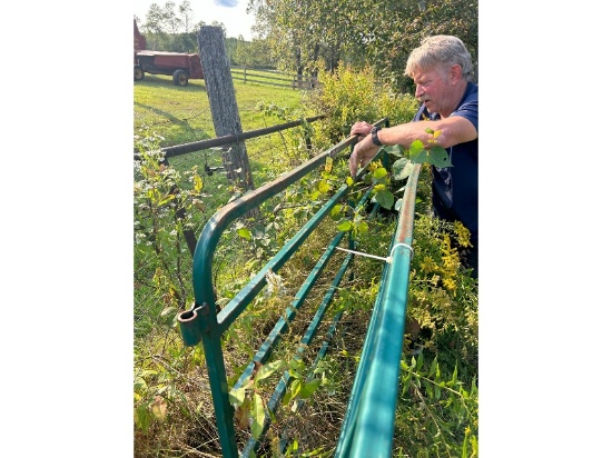 8' Green Steel Gate