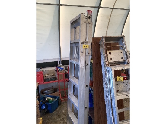 Combination Ladder