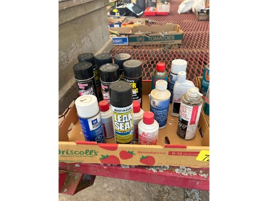 Box of Automotive Supplies - Cleaner & Lubricants