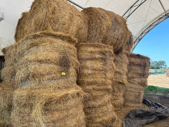 22 Hard Core Round Bales of Hay