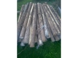 25 Cedar Posts - 4