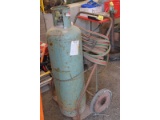 Torches, Cart & Propane Bottle
