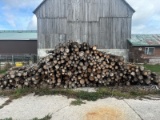 25 Cedar Posts - 6