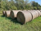 25 Round Bales of 4x5, 2024 First Cut Hay  - No Rain