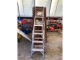 2 Step Ladders