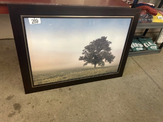 Framed Print