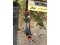Troy Built 4 Cycle Trimmer