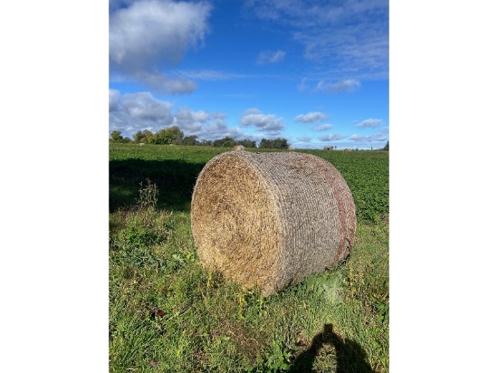 10 - 4x5 Bales of Wheat Straw out of Conventional Combine