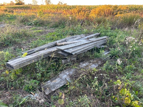 Assortment of 1' Boards Up To 12' in Length