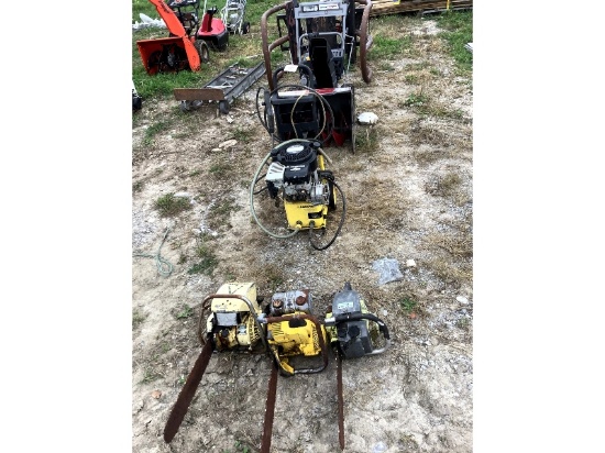Pressure Washer & 3 Chainsaws