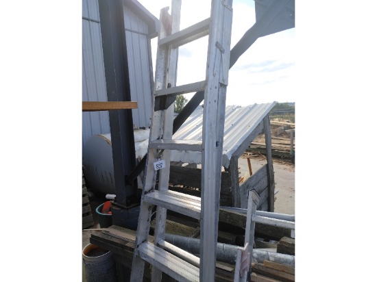 Combination Ladder