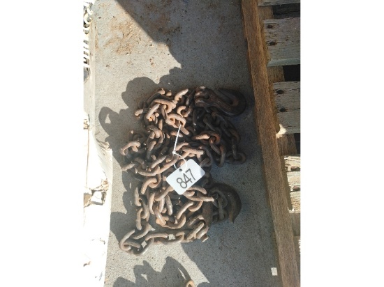 Chain & 2 Hooks