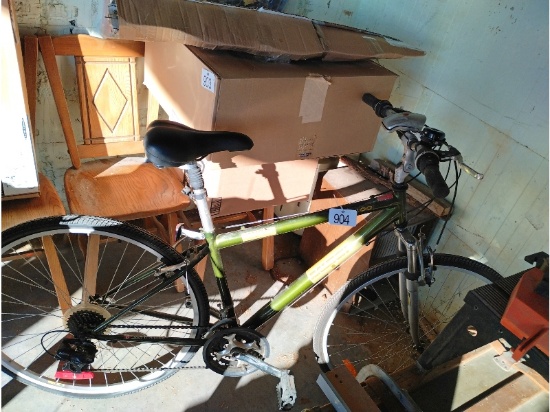 Raleigh Bike