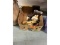 Women's Boots