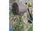 2' Lawn Roller