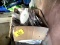 3M Dust Masks