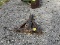 3PTH Trailer Mover