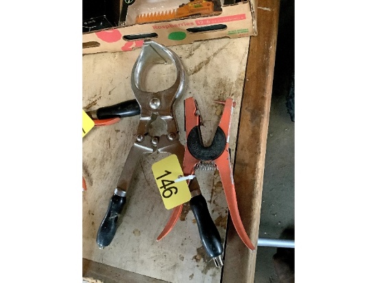 Short Burdizzos & Allflex Taggers