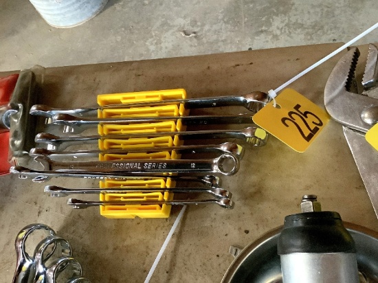 Professional Series Metric Wrench Set