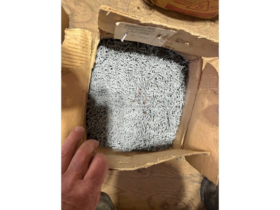 Box of 1" Nails