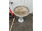Bird Bath