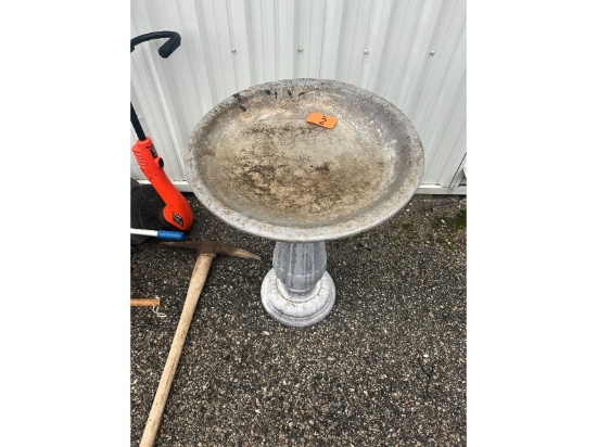 Bird Bath