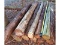 12 - 8' Cedar Posts