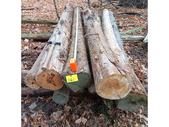 12 - 8' Cedar Posts