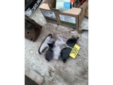 Safety Glasses