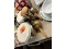 Bongo Drums