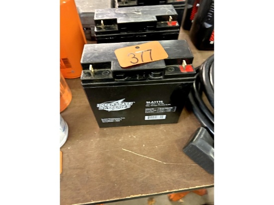 Interstate Battery