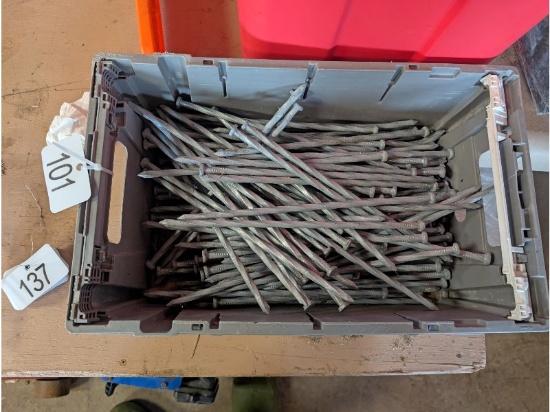 Tote of 12" Spikes