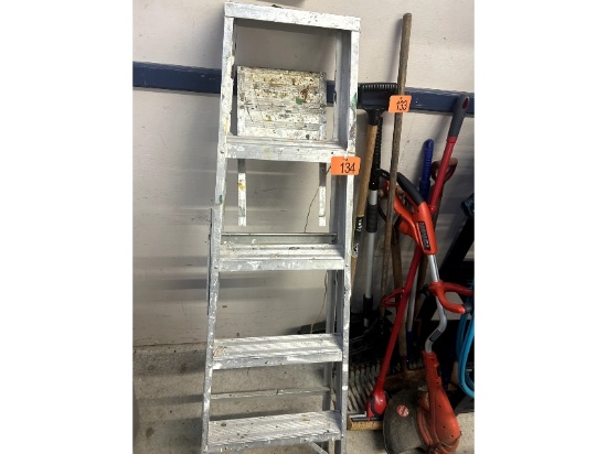 5' Ladder