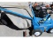 Bluebird Lawn Comber - Runs