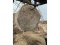 10 Round Bales 2024 4x5 Hardcore Bales