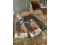 2 New Bala-Calfa Calf Hoods